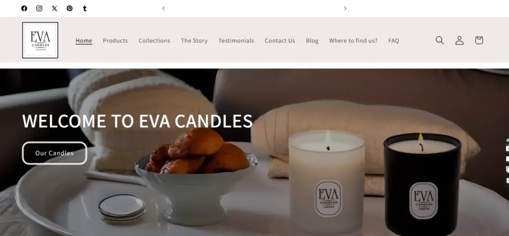 Ecommerce Website Portfolio