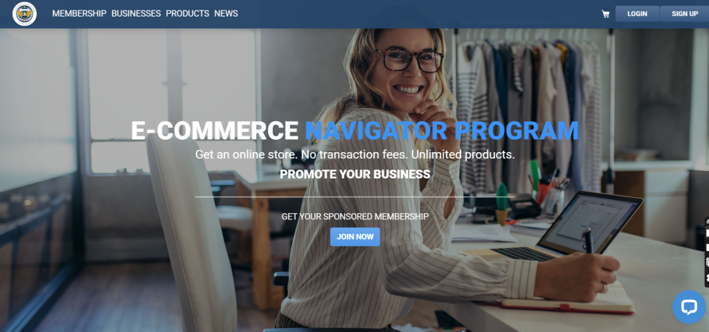 Business Website Portfolio