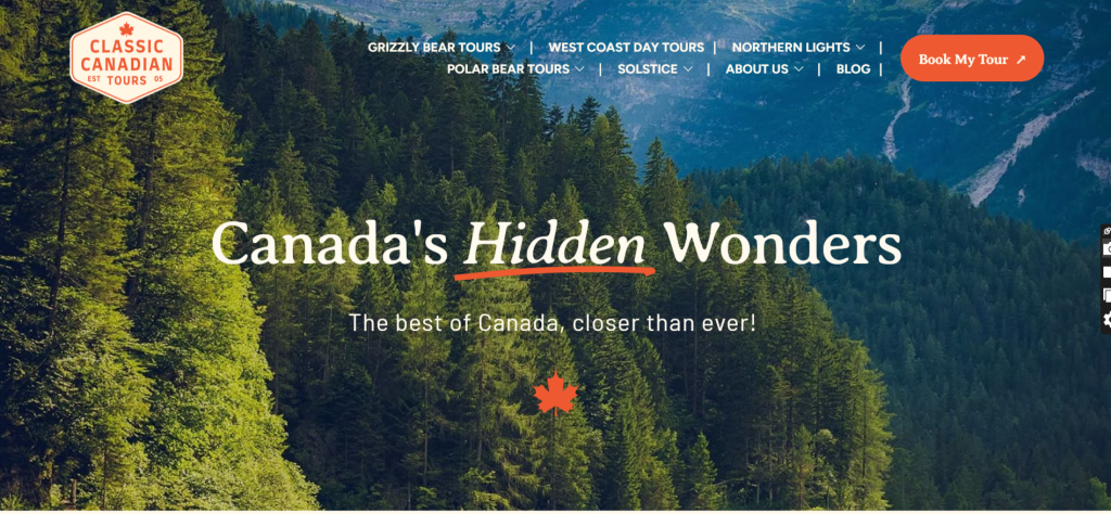 Tour & Travel Website Portfolio