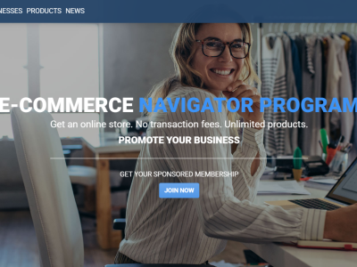 Business Website Portfolio