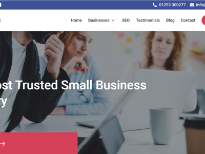 Business Website Portfolio